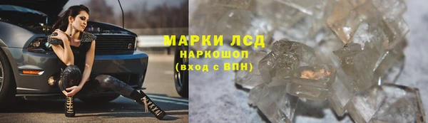 шишки Няндома