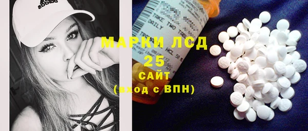 шишки Няндома